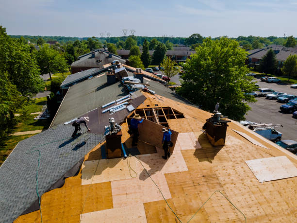 Best Metal Roofing Contractor  in Fordoche, LA
